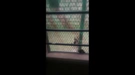 Watch as heavy rain floods many houses in Mombasa, Kenya, after deluge of rain