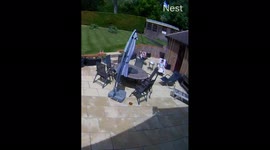 I fall off sunlounger