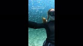 Diver goes viral on TikTok after filming herself swimming amongst school of fish