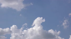 An airplane flies across a blue sky which has a big white poodle.
