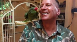Man and bird laugh together