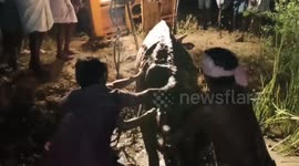 Villagers in India use excavator to dig free cow trapped in muddy river bed