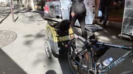 Dog in bicycle trailer. Paris, rue Tolbiac, France. 13 may 2022
