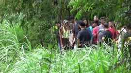 Estuary Crocodile Sightings on the River, where residents bathe in Padang