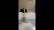 temp