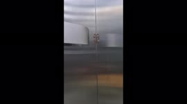 Lizard riding elevator seen early in the morning of May 17, 2022