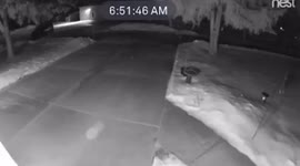 Girl trips on driveway