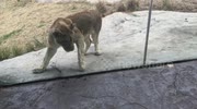 temp