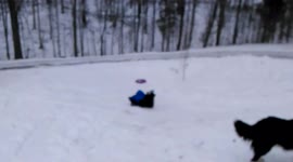 Kid falls in snow