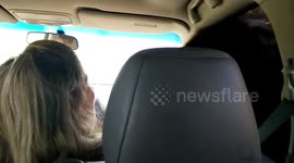 Buffalo Safari Scare