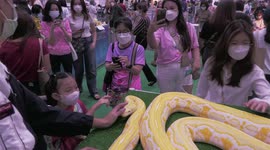 Brave children stroke huge 4-metre-long python at Bangkok pet show