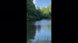 Londoners swimming during uncommonly hot weather in UK