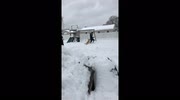 temp
