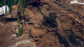 Walking like an ant on the deserted street to see the sunset on the city streets.