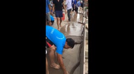 Land artillery duel: Game Land Cannon, A unique folk game in Vietnam