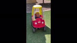 'Baby boy's first time trying out his toy car doesn't go quite as planned 
'