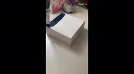 'Very easy step-by-step tutorial to draw a super-detailed artwork of 'Pink Moon' '