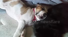 Sleeping with the Enemy 