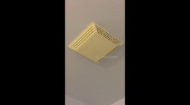 Determined huge spider tries to invade through ceiling vent