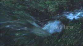 7 inches of rain in 2 hours destroys property