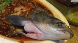 Alive fish in completed dish