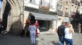 Giant rats in France