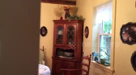 Breaking the soul of an artist