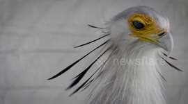 This Is The Favorite Snack of These Very Specific Type of Birds