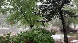 Late Spring Snow Hits Colorado