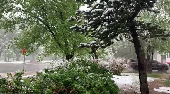Late Spring Snow Hits Colorado - Buy, Sell or Upload Video Content with ...