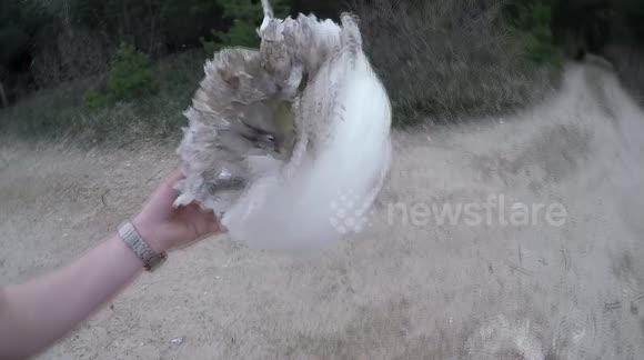 1,000 metres of tape vs firecracker: how resistant is it?