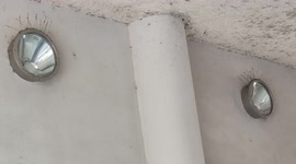 Pareidolia in Paris. (Bird spikes. Eyelashes). 43 rue de Pommard, France. 21 may 2022