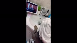 Johhny Depp and Amber Heard’s trial watched by a French Bulldog/must be watched, very halarious