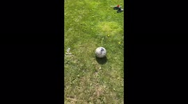 'Man loses his ball and breaks glass while trying to pull off a popular football shot 
'