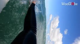 'Surfer records himself getting swallowed by a hungry shark *Sketch*'