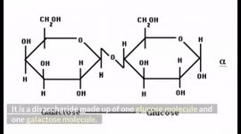 Lactose Intolerance - Types, Causes, Signs & Symptoms, Treatment