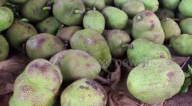 Huge jackfruit sells 172 times its normal price at auction in Thailand