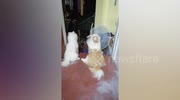 temp