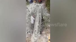 Bag of live fish splits open and pours over man in eastern China