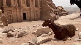 Monastery in Petra, Jordanie.