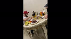 Pet monkey having dinner with family