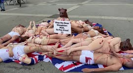 Semi-nude PETA activists stage 'blood'-covered die-in at Marble Arch, London, against Queen’s Guards’ bear skins hats