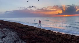 Fun in the Sun and Heaps of Sargassum Seaweed this Memorial Day Weekend in South Florida