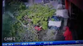 CCTV captures the moment a tree uproots and falls on motorbike and pedestrians in Rajasthan, India