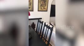 UK woman creates a unique AirBnB inspired by Alice in Wonderland