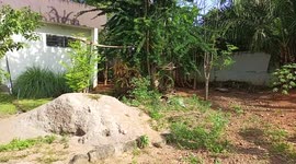 The front view of an african modern house natural space