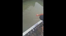 The flock of fish uses water to shoot visitors' hands to get food to fall