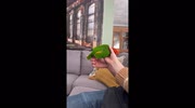 temp