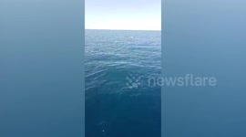 Sailors cling to styrofoam ice boxes to survive for FOUR DAYS drifting in sea