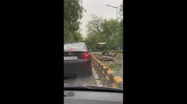 India: Intense Thunderstorm Pummels Delhi Causing Severe Damage 6